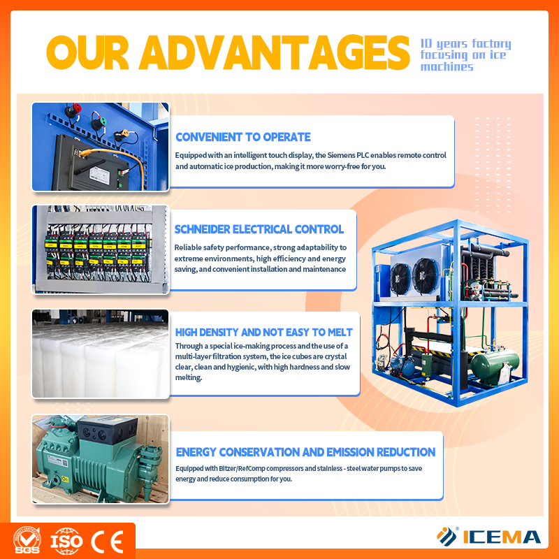 ICEMA Industrial PLC Big Ice B - огляд і ціна Food Storage For Long Term
