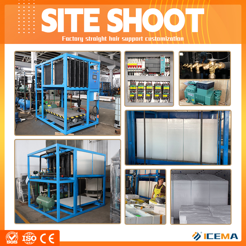 ICEMA Industrial PLC Big Ice B - огляд і ціна Food Storage For Long Term