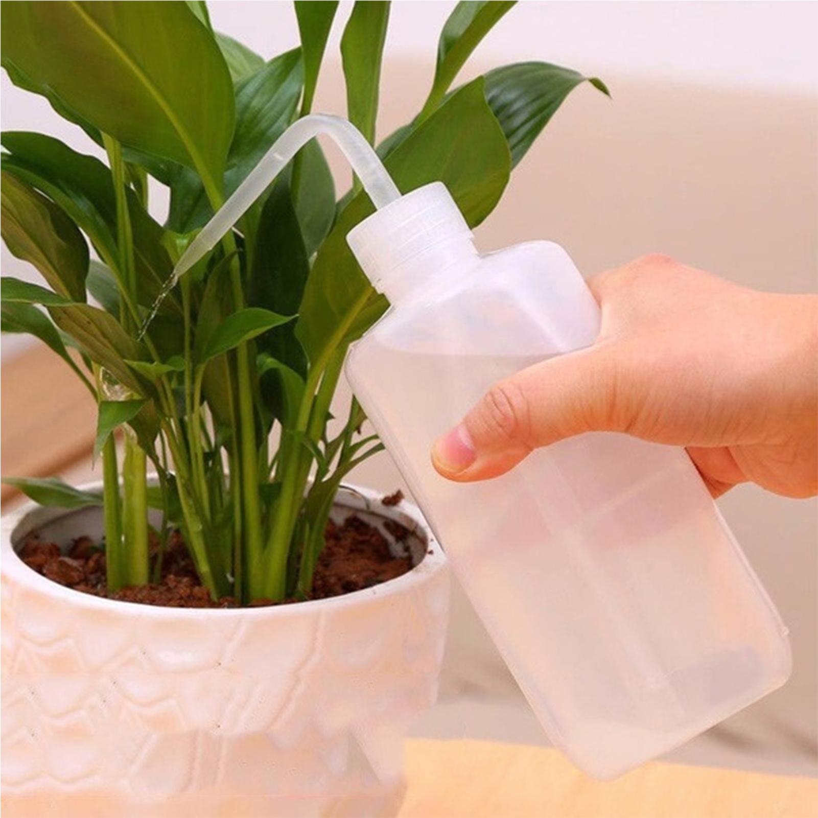 Squeeze Wash Bottle 250ml Safe - огляд і ціна Food Storage Food Safety
