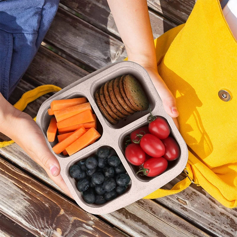 4 Grids Food Storage Box Porta - огляд і ціна Food Storage Freezer Containers
