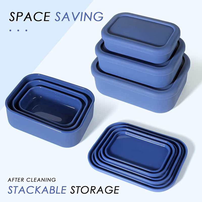 Leak-Resistant Bento Lunch Box - огляд і ціна Food Storage Kits