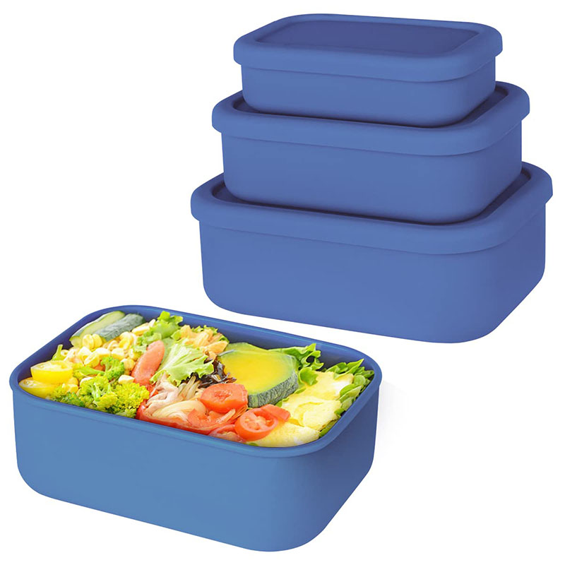 Leak-Resistant Bento Lunch Box - огляд і ціна Food Storage Kits