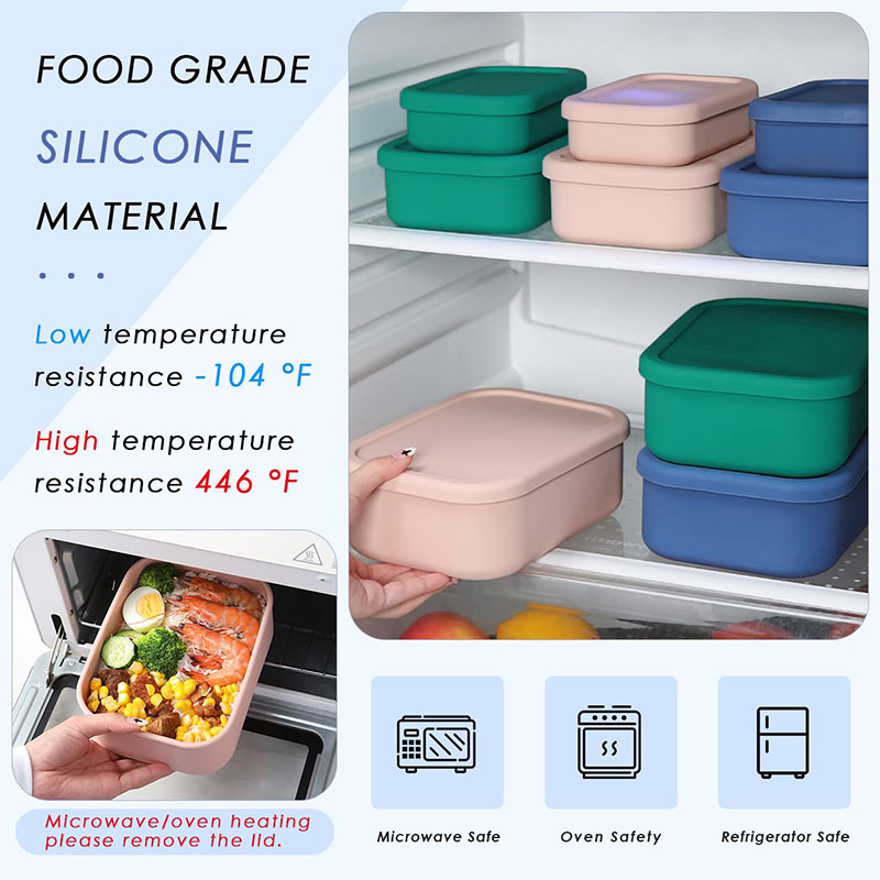 Leak-Resistant Bento Lunch Box - огляд і ціна Food Storage Kits